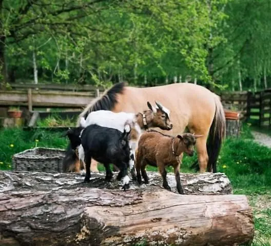 Na Lesnej Vakantiehuis